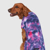 Wild Side Sweater
