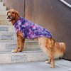Wild Side Sweater